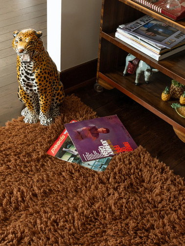 Image of brown shag on floor from https://double.online/ Photograph includes porcelain tiger, shelves, and magazines