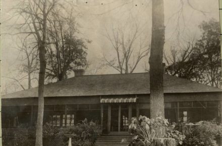 Photo is sepia of cabin with hipped roof surrounded by trees in late fall. Property: https://digitalcollections.hclib.org/digital/collection/MplsPhotos/id/12037/